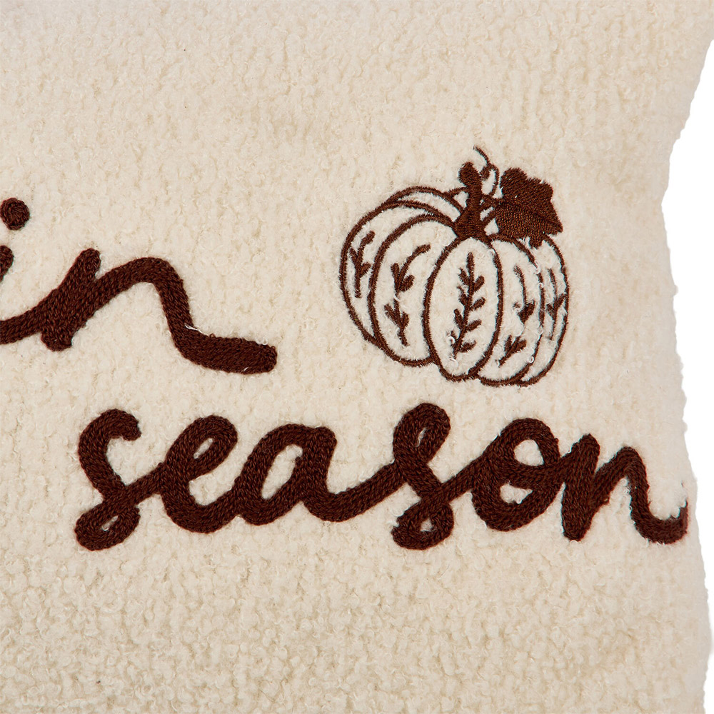 Pumpkin Season Cushion Neutral Image 3