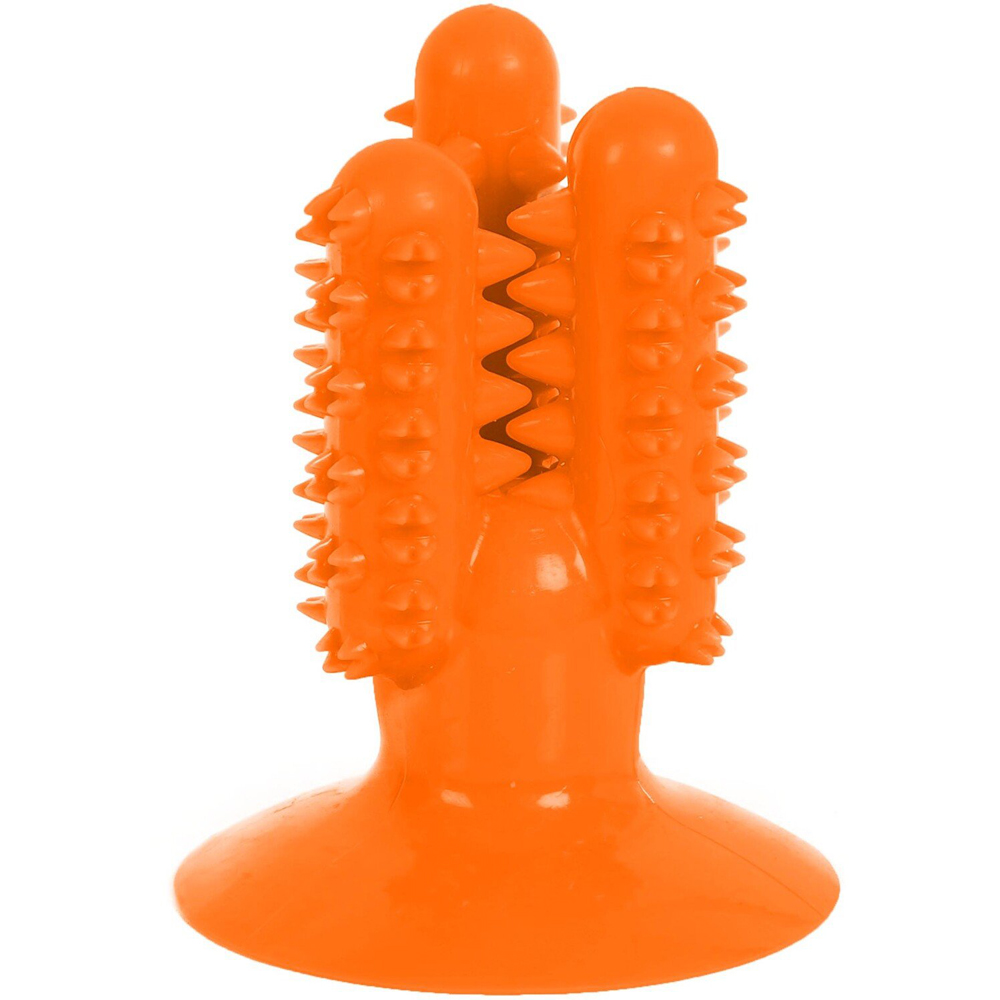 Clever Paws Cactus Dog Dental Toy Image 3
