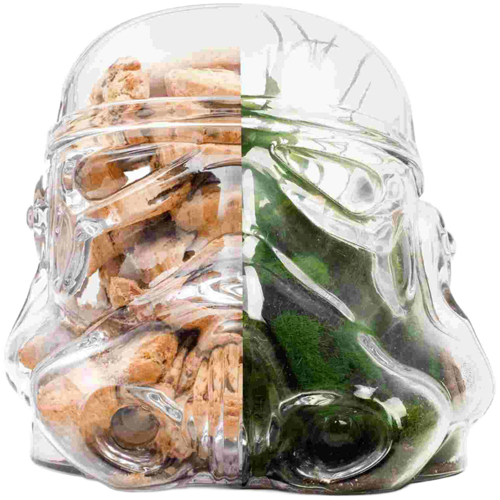 Thumbs Up Star Wars Original Stormtrooper Cookie Jar and Terrarium Image 5