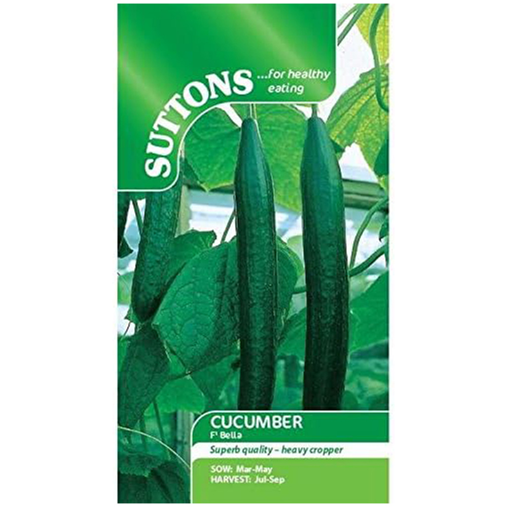 Thompson and Morgan Cucumber All Female F1 Bella Seeds Image 2