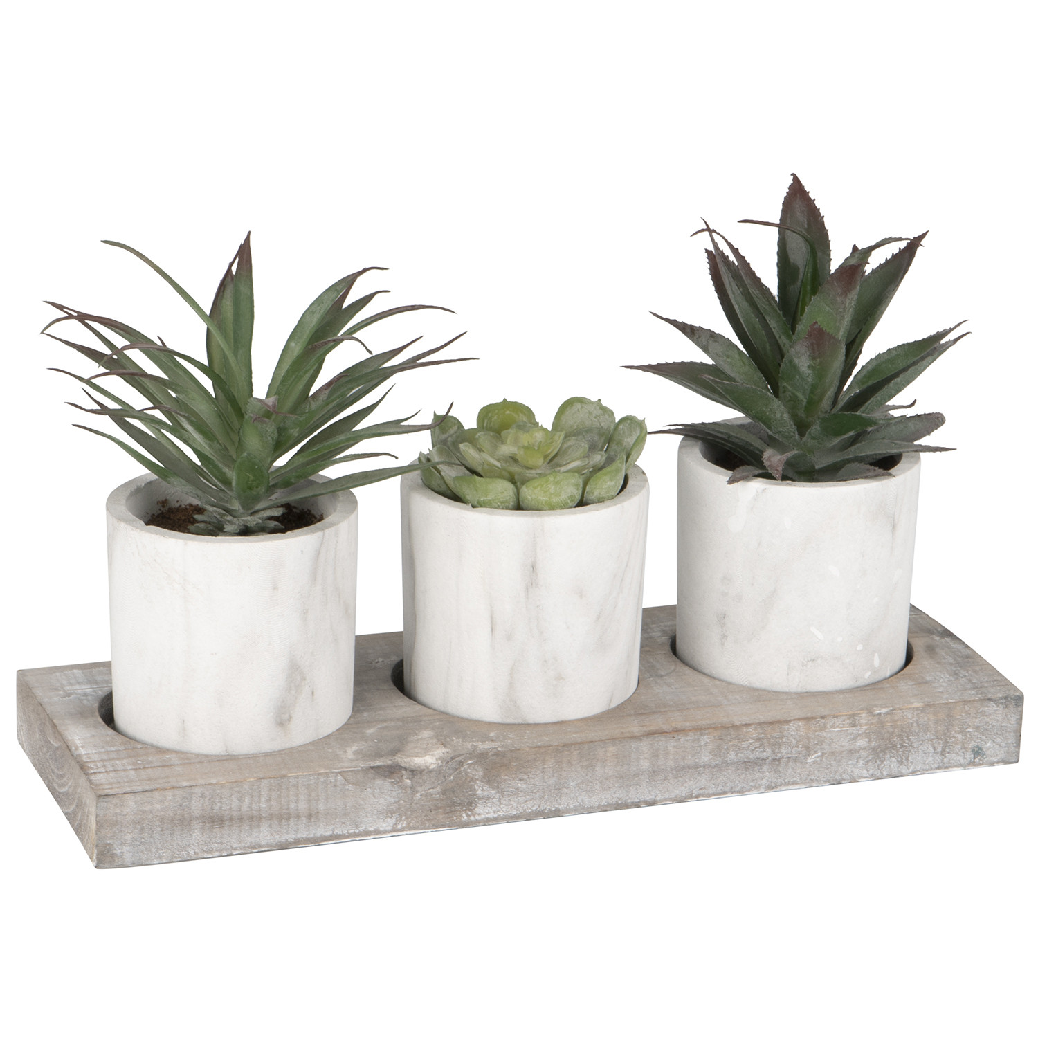 Triple Mini Succulent Aloe Plastic Plants in Tray Image