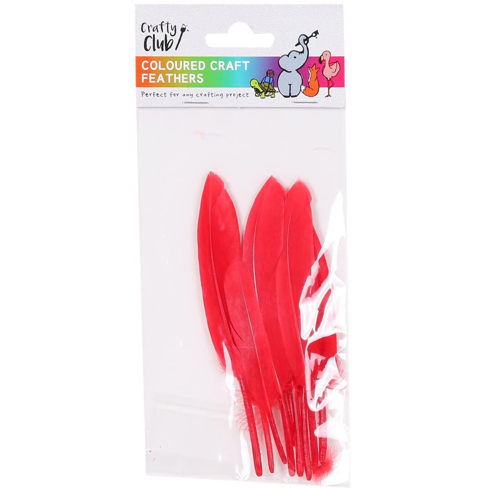Crafty Club Coloured Craft Feathers Image 5