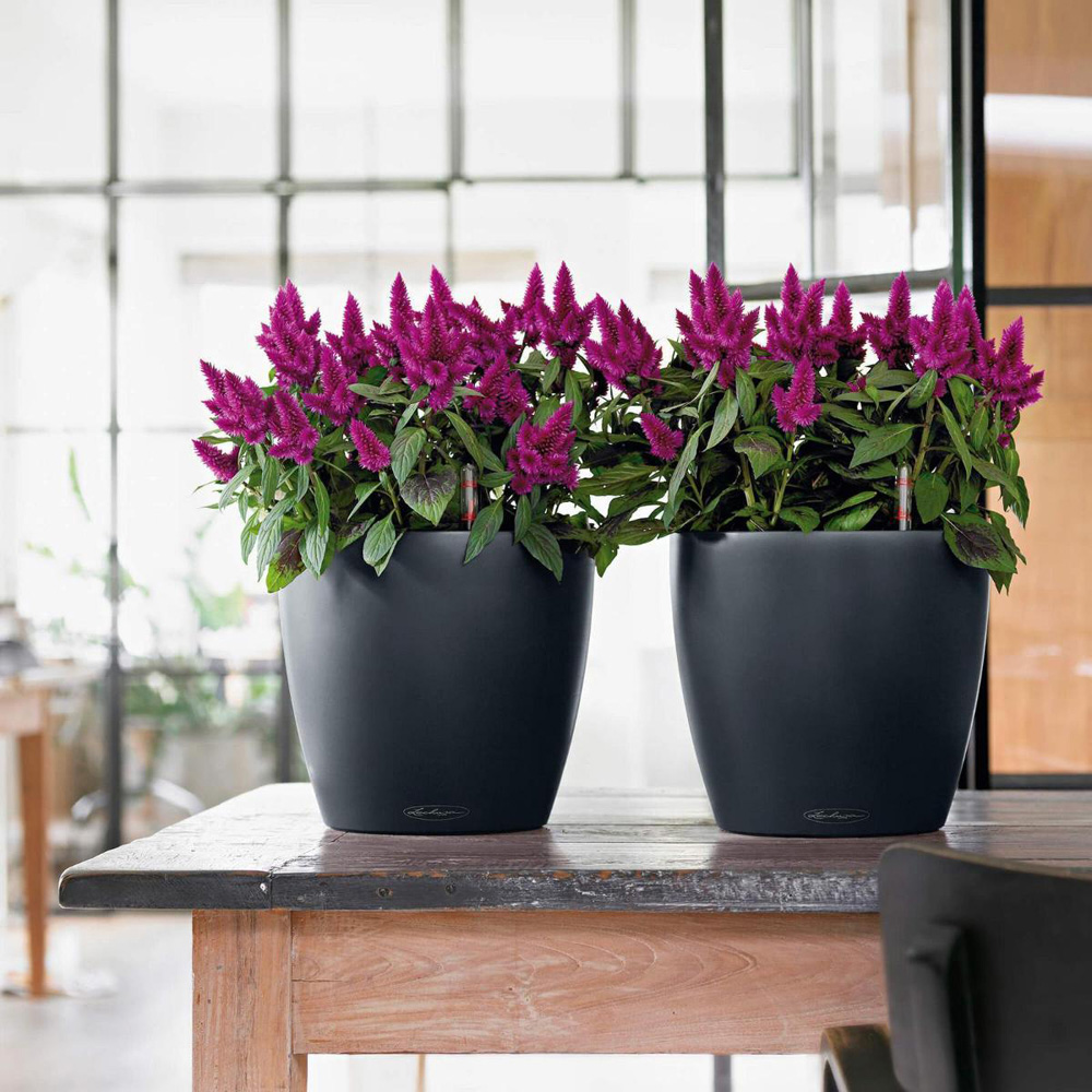Lechuza Classico Slate Polyresin Self Watering Planter Pot 21cm 2 Pack Image 2