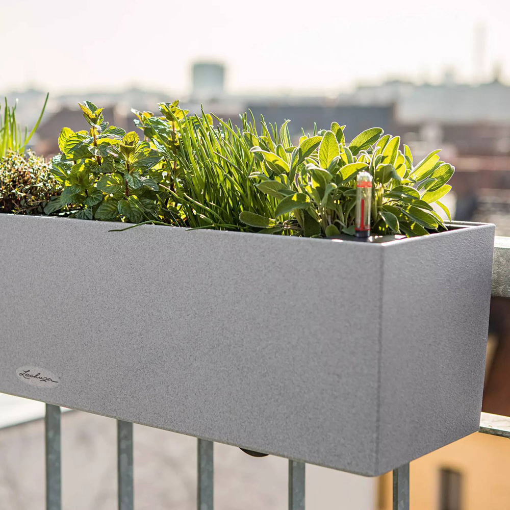 Lechuza Balconera Colour 80 Graphite Black Self-Watering Planter 19cm Image 4