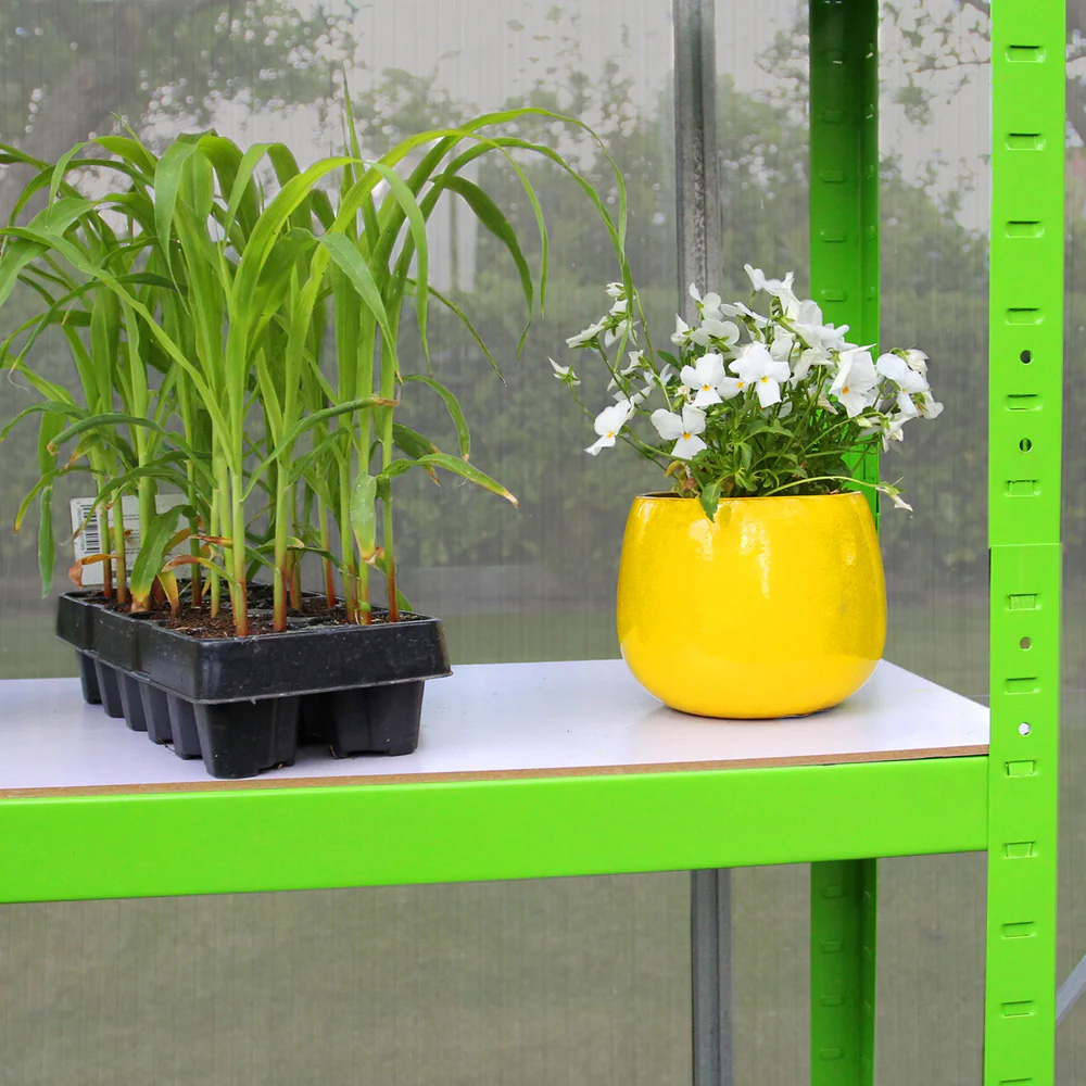 MonsterShop 6 x 10ft Greenhouse with Base Image 5