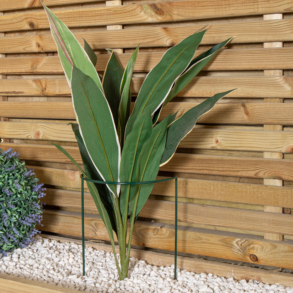 Samuel Alexander Metal Green Herbaceous Plant Support Arc 20 x 60cm Image 8