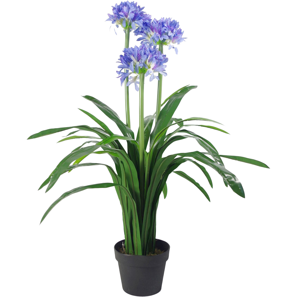 Leaf Blue Agapanthus Artificial Plant in Plastic Pot 3ft Image 1