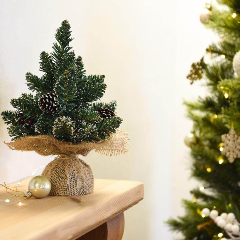 Thompson and Morgan Gift Derby Table Top Xmas Tree 30cm 2 Pack Image 4