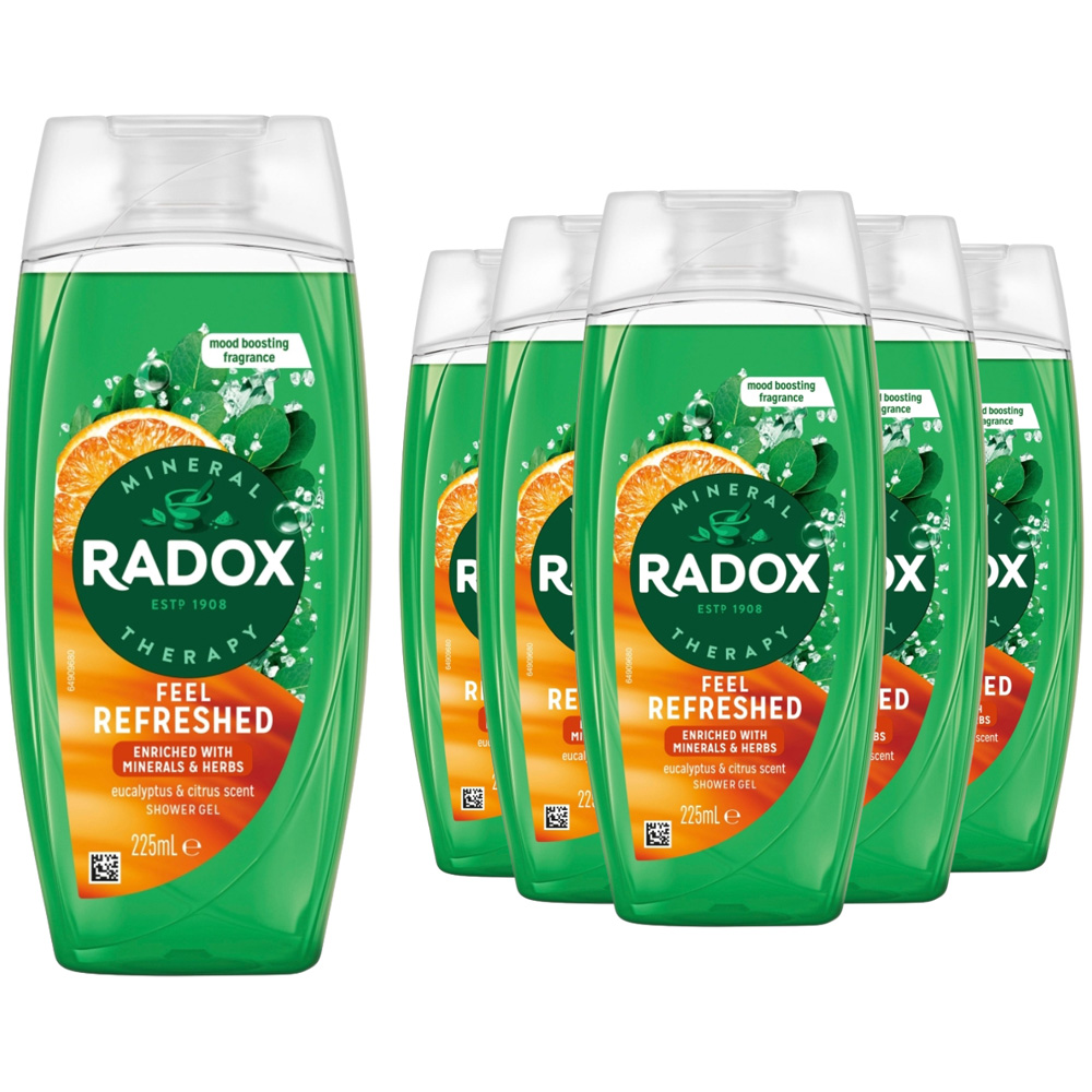 Radox Feel Refreshed Eucalyptus and Citrus Scent Shower Gel 225ml 6 Pack Image 1