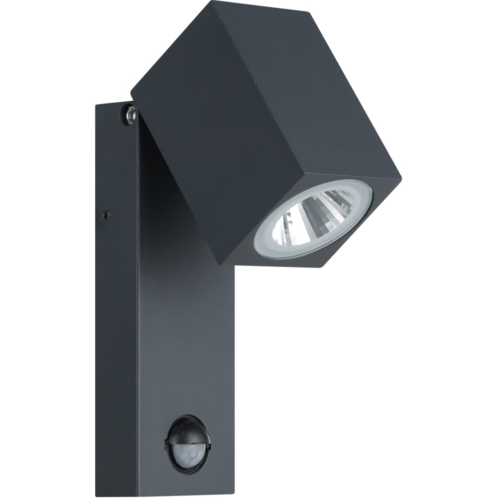 EGLO Sakeda Anthracite Outdoor Wall Light Image 1