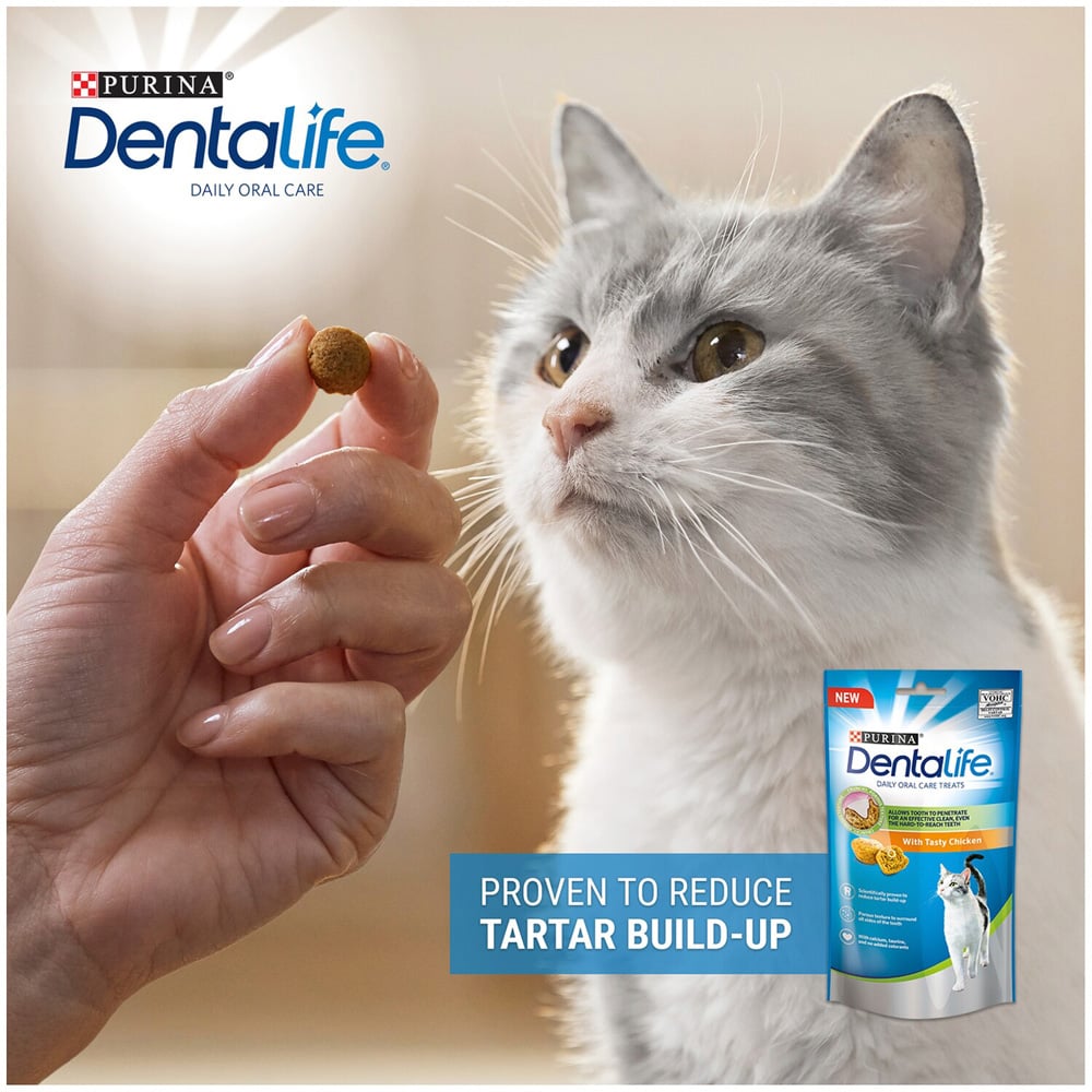 Purina Dentalife Chicken Cat Dental Treat 40g Image 4