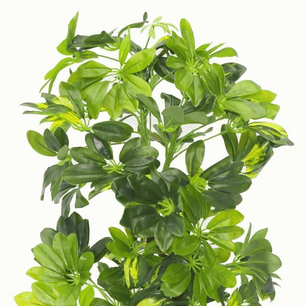Botanik Gold Capella Umbrella Artificial Plant in Pot 2.5ft Image 3