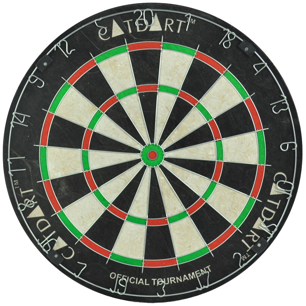 Gamesson Champion Bristle Dartboard Image 1