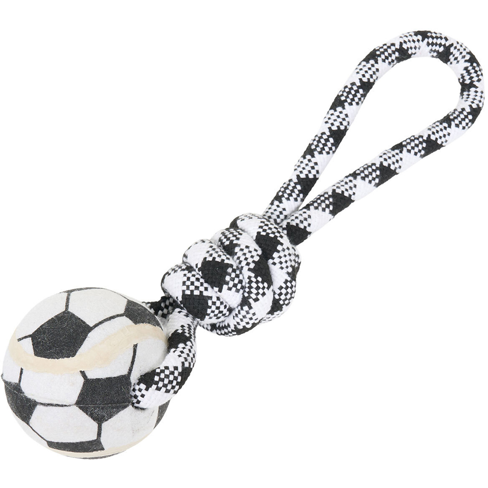 Plush Ball on a Rope Dog Toy Image 2