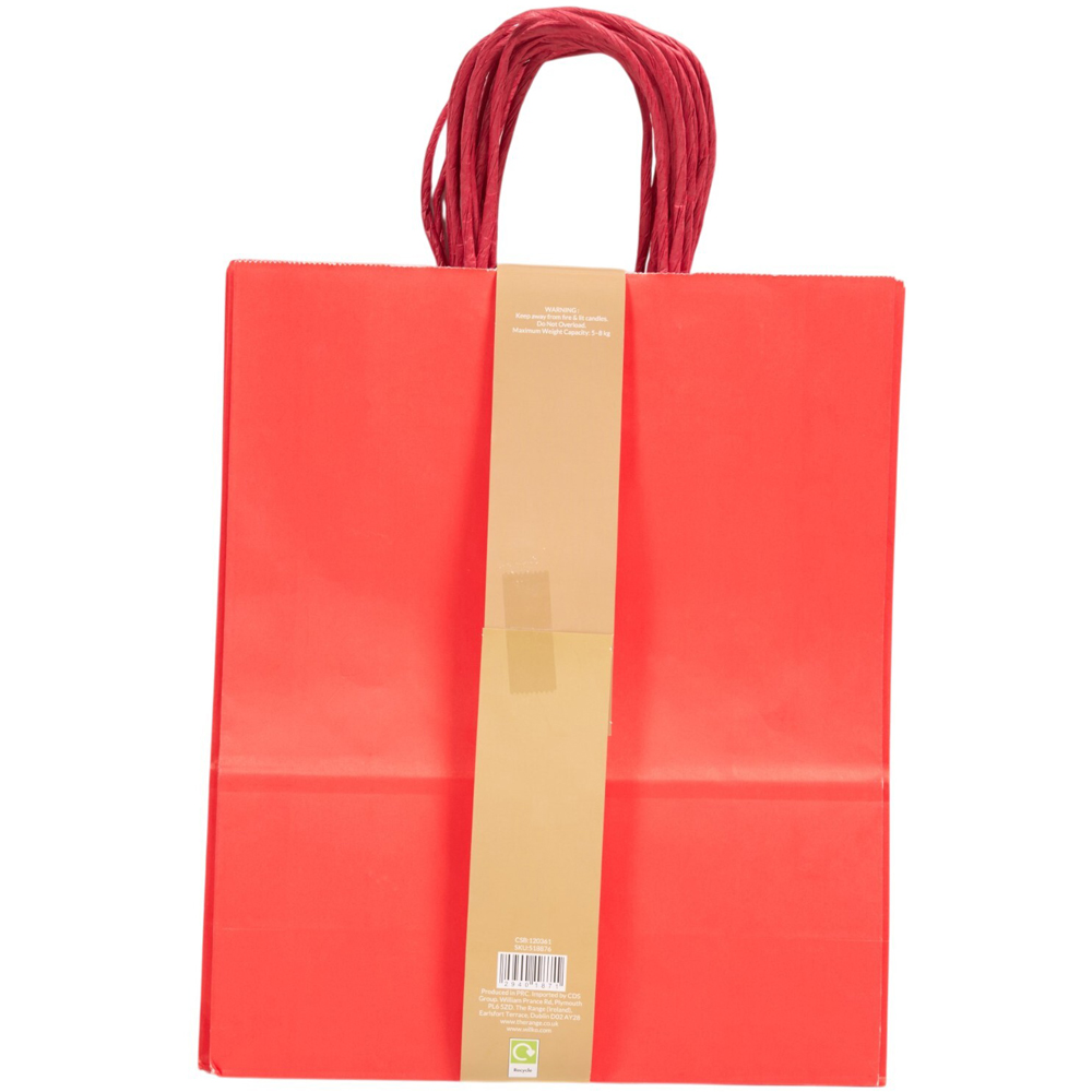 Pack of 10 Large Gifting Paper Bags Red Image 2