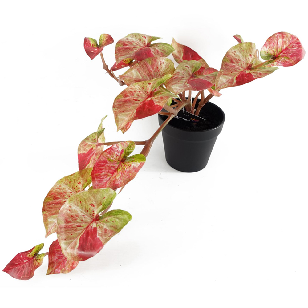 Leaf Pink Trailing Splash Caladium Hanging Artificial Plant 35cm Image 1
