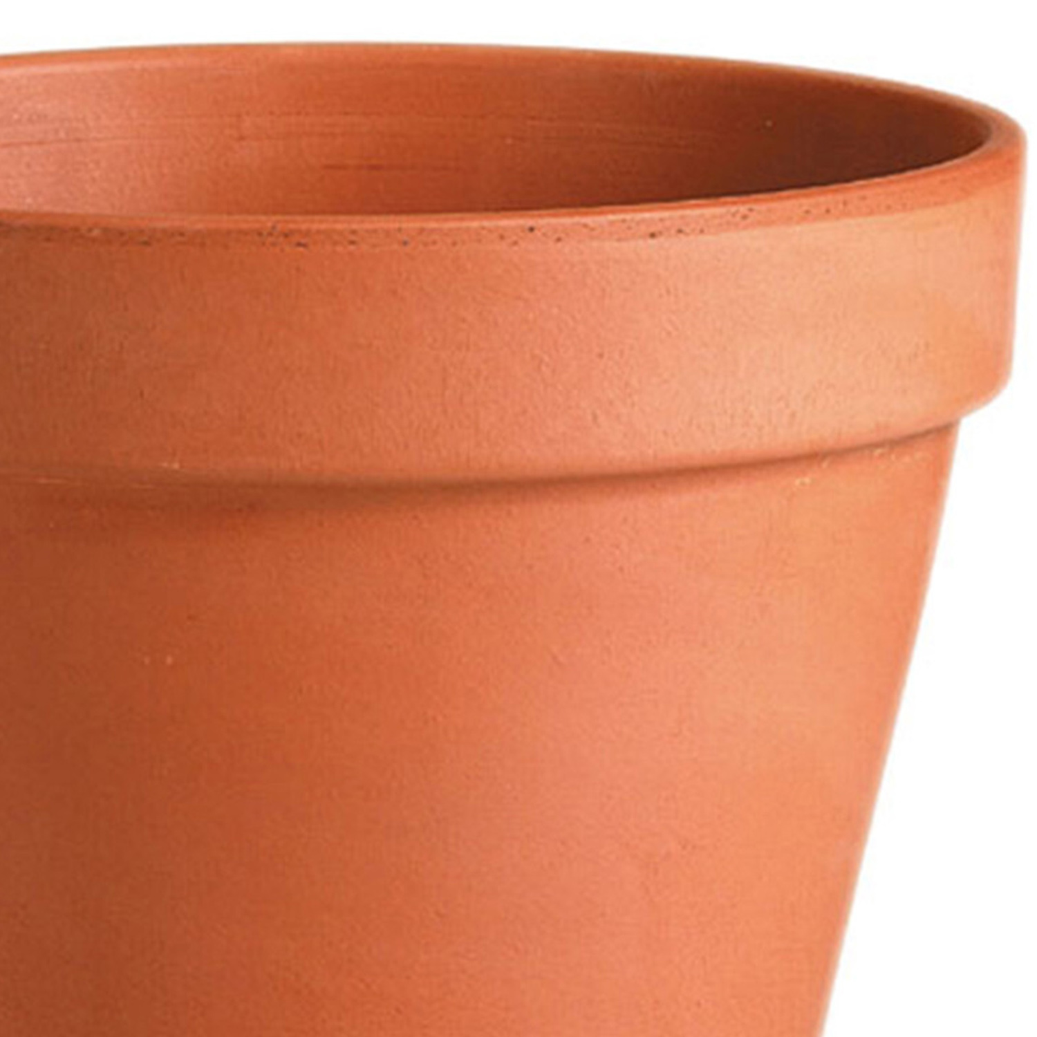 Terracotta Plant Pot 22cm Image 2