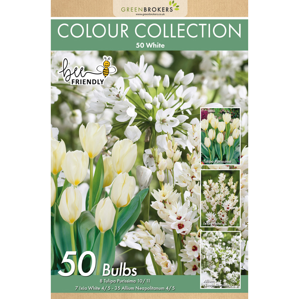 GreenBrokers Dutch White Colour Bee Friendly Mixed Collection Planting Bulb 50 Pack Image 2