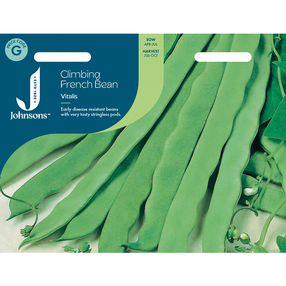 Climbing French Bean Vegetable Seeds Image 1