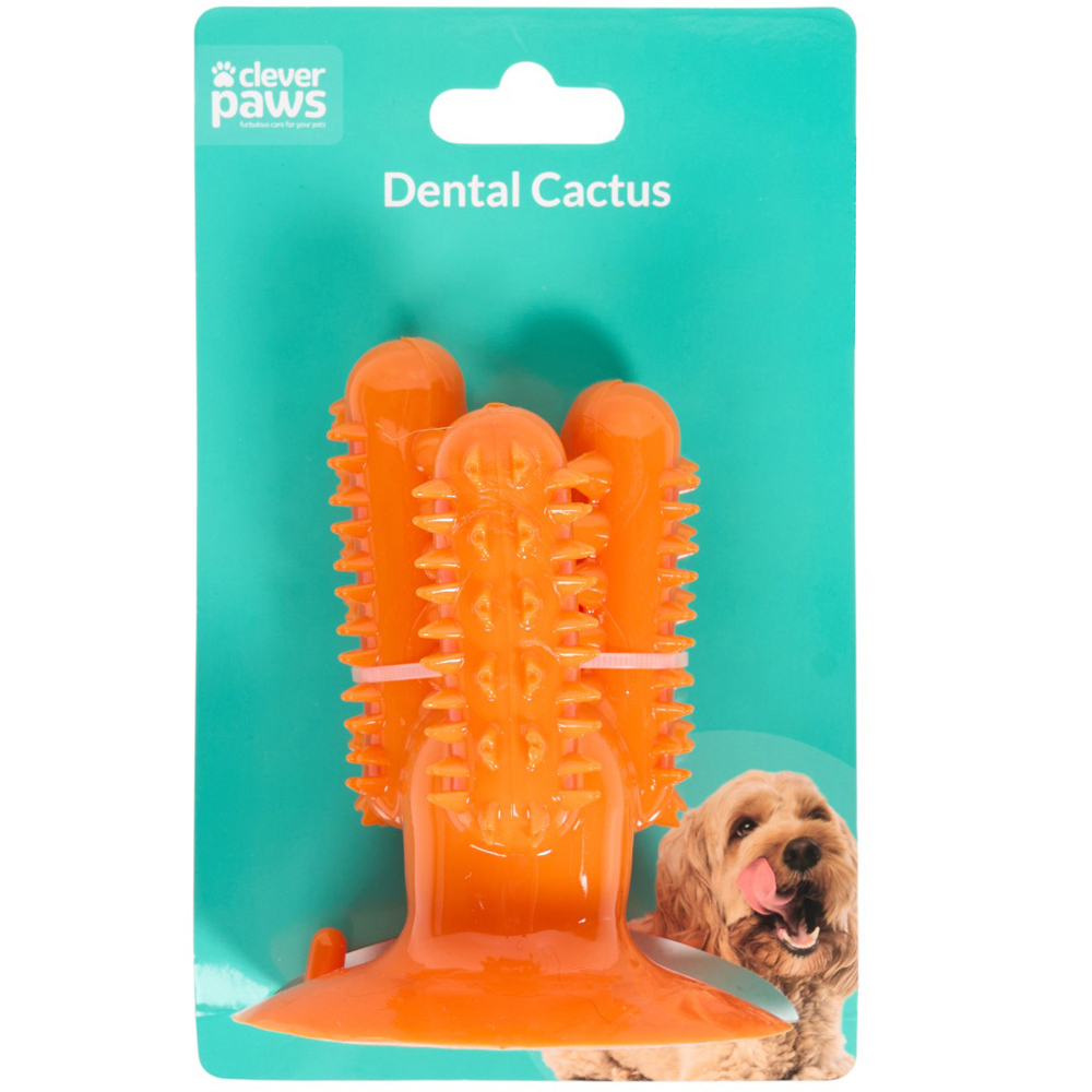 Clever Paws Cactus Dog Dental Toy Image 4
