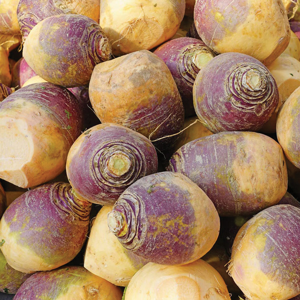Thompson and Morgan Swede Gowrie Seeds Image 1
