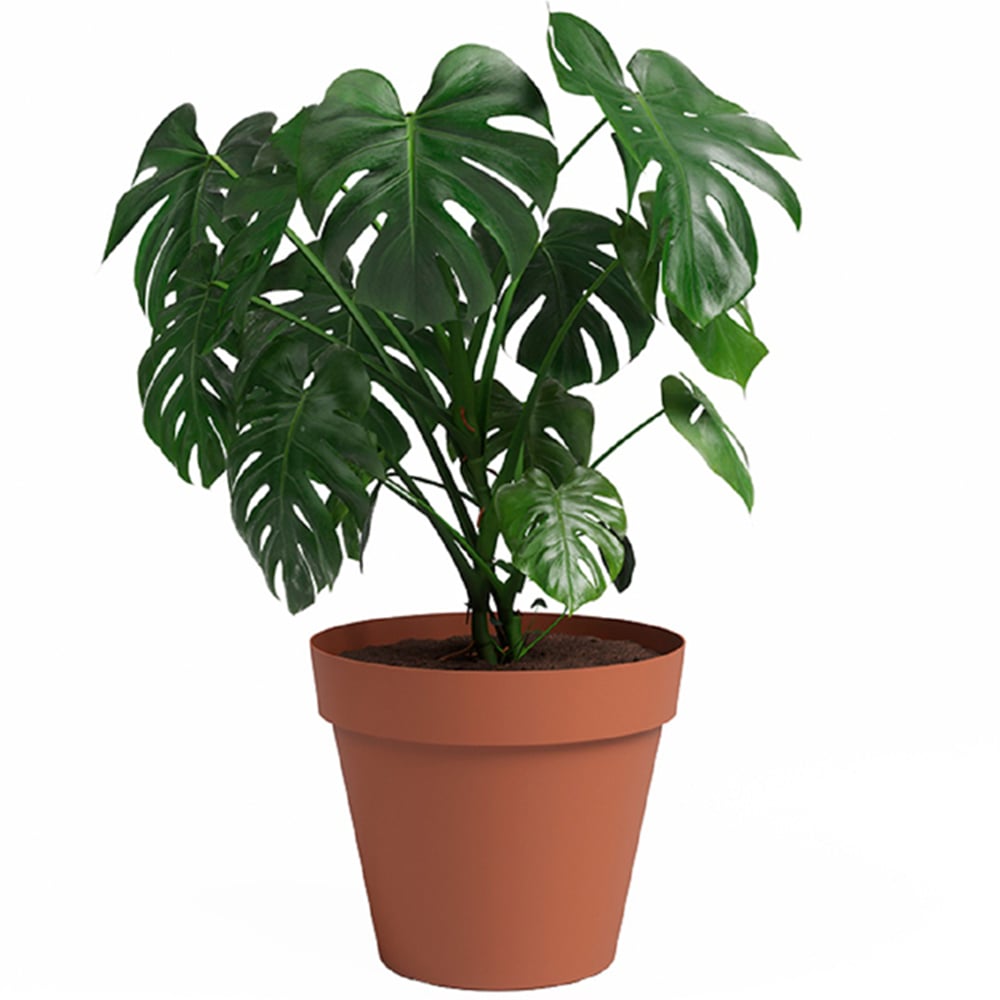 Artevasi Capri Terracotta Round Plastic Plant Pot 35cm Image 2