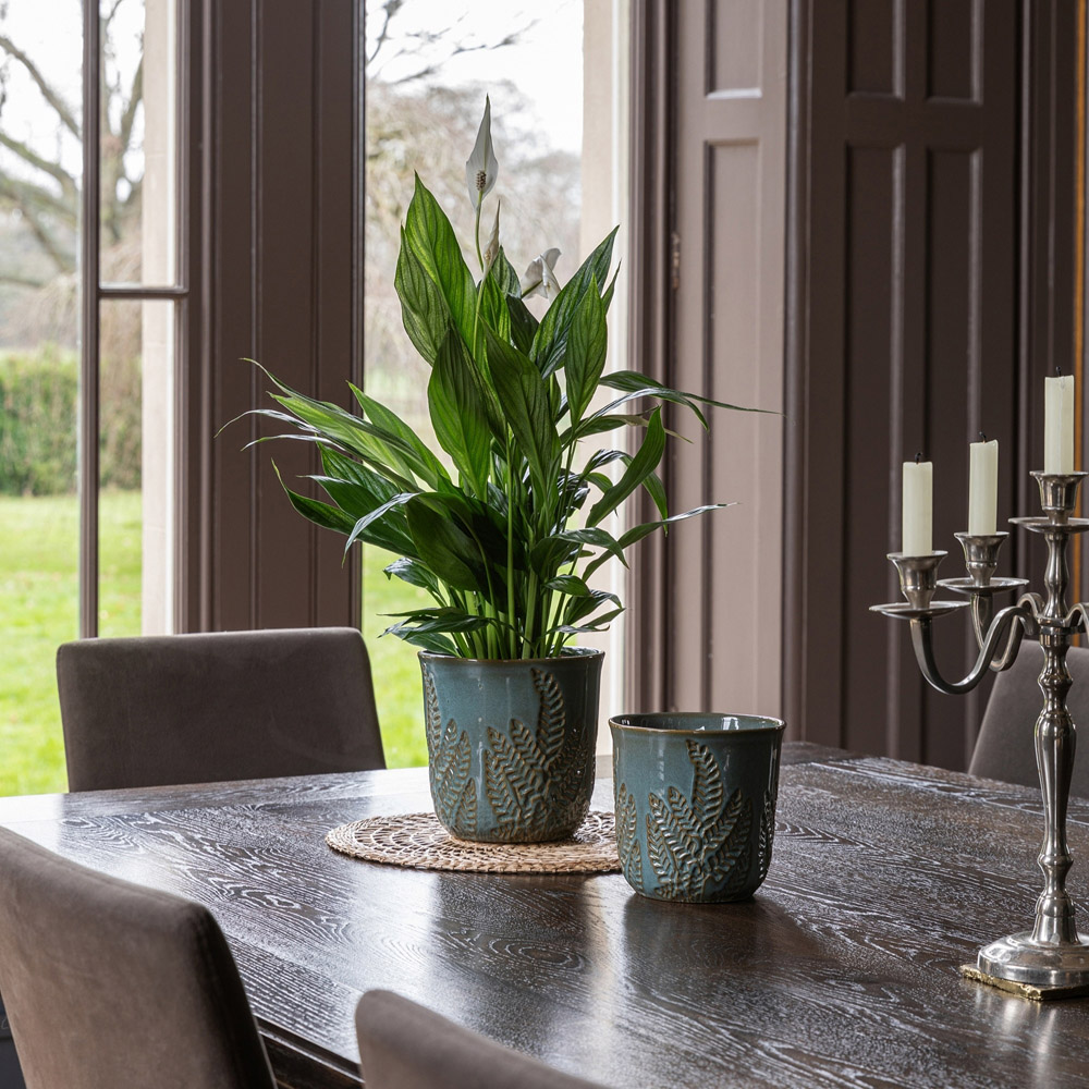 Ivyline Kew Teal Stoneware Fern Embossed Reactive Glaze Indoor Planter 18cm Image 5