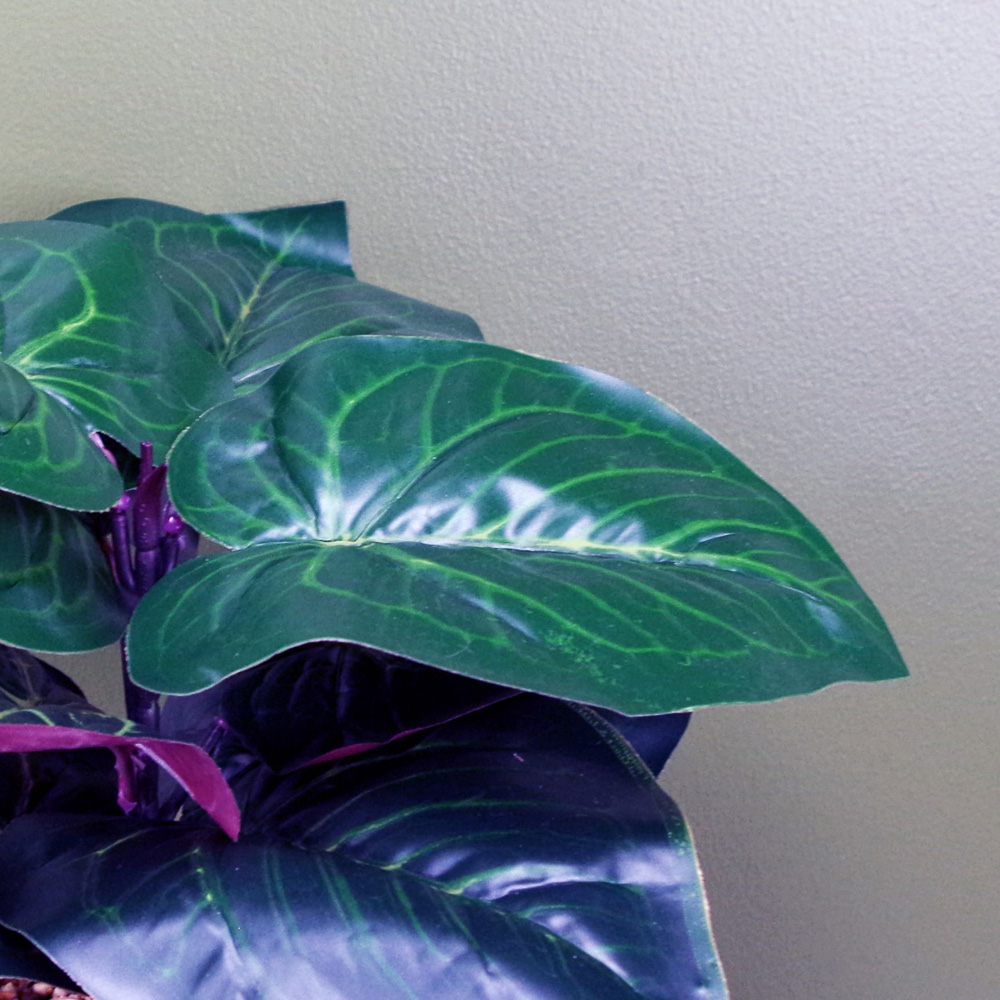 Botanik Artificial Ficus Plant in Teal Blue Green Ceramic Pot 35cm Image 4
