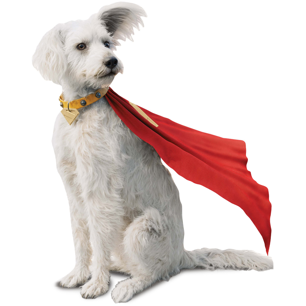 Star Cutouts Superman Krypto Cardboard Cutout 3ft Image 1