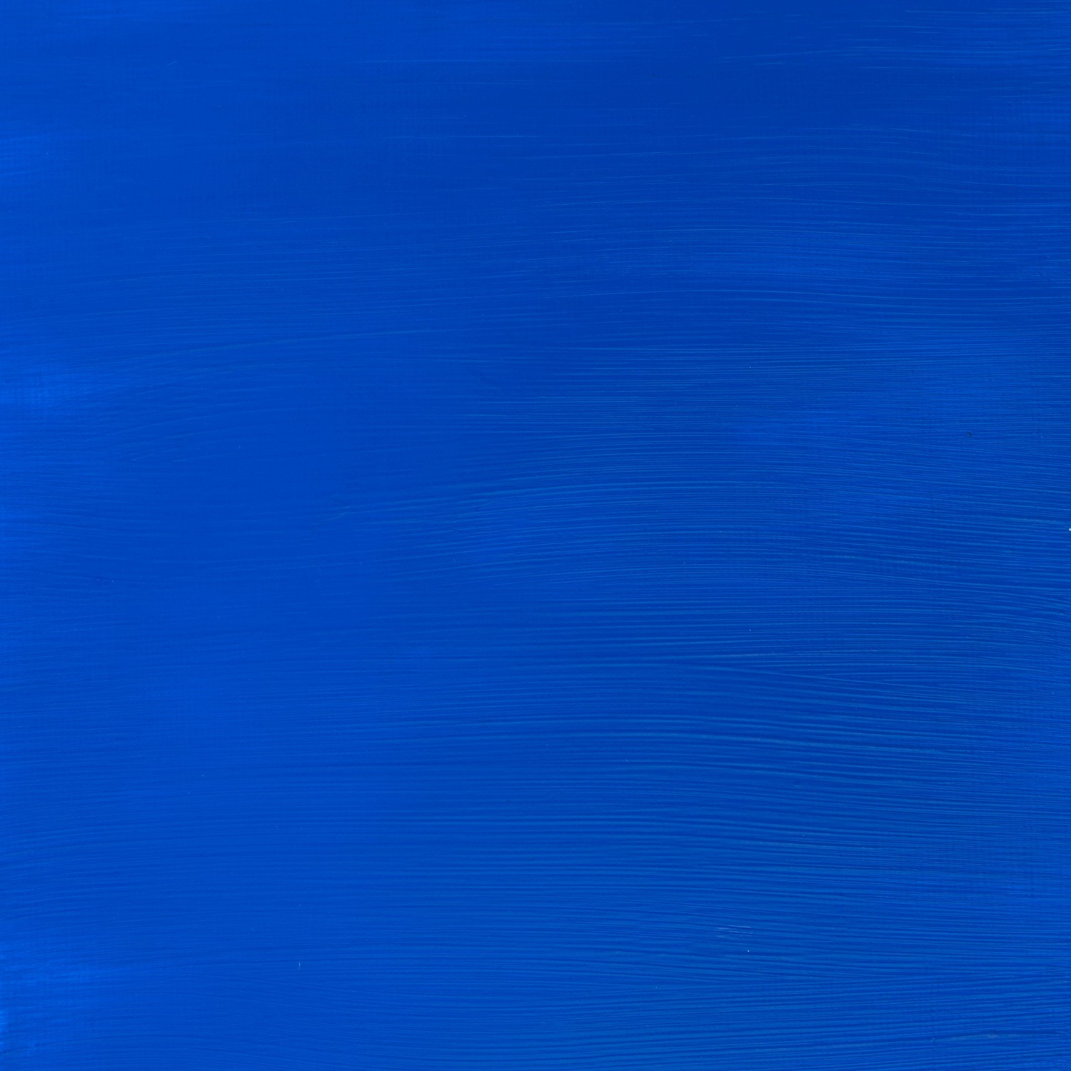 Winsor and Newton 250ml Galeria Acrylic Paint - Cobalt Blue Hue Image 2