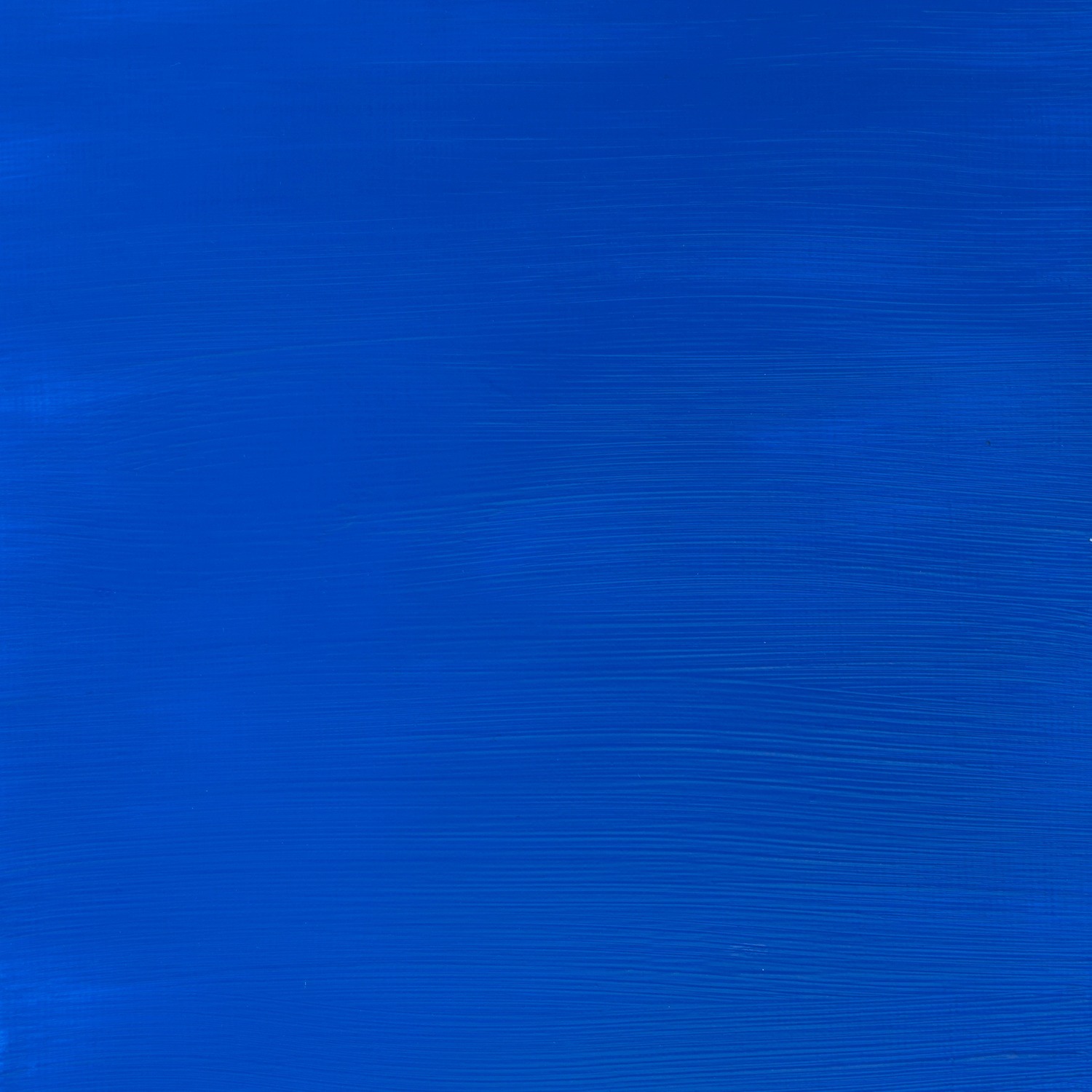 Winsor and Newton 250ml Galeria Acrylic Paint - Cobalt Blue Hue Image 2