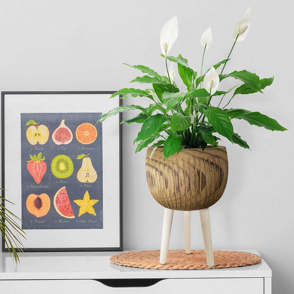 LECHUZA Hortico Ribbed Wooden Indoor Plant Pot 36 x 23cm 2 Pack Image 2