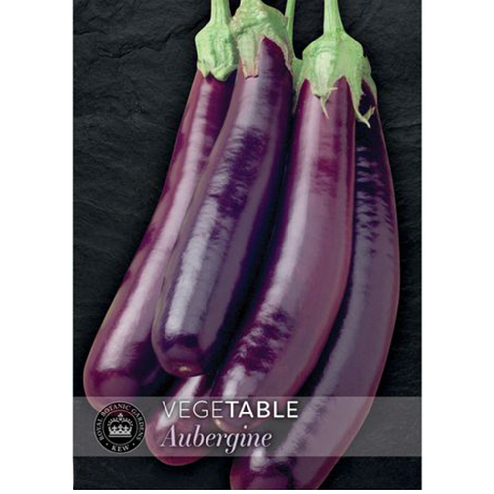 Thompson & Morgan Aubergine Violet Knight F1 Seeds Image 1