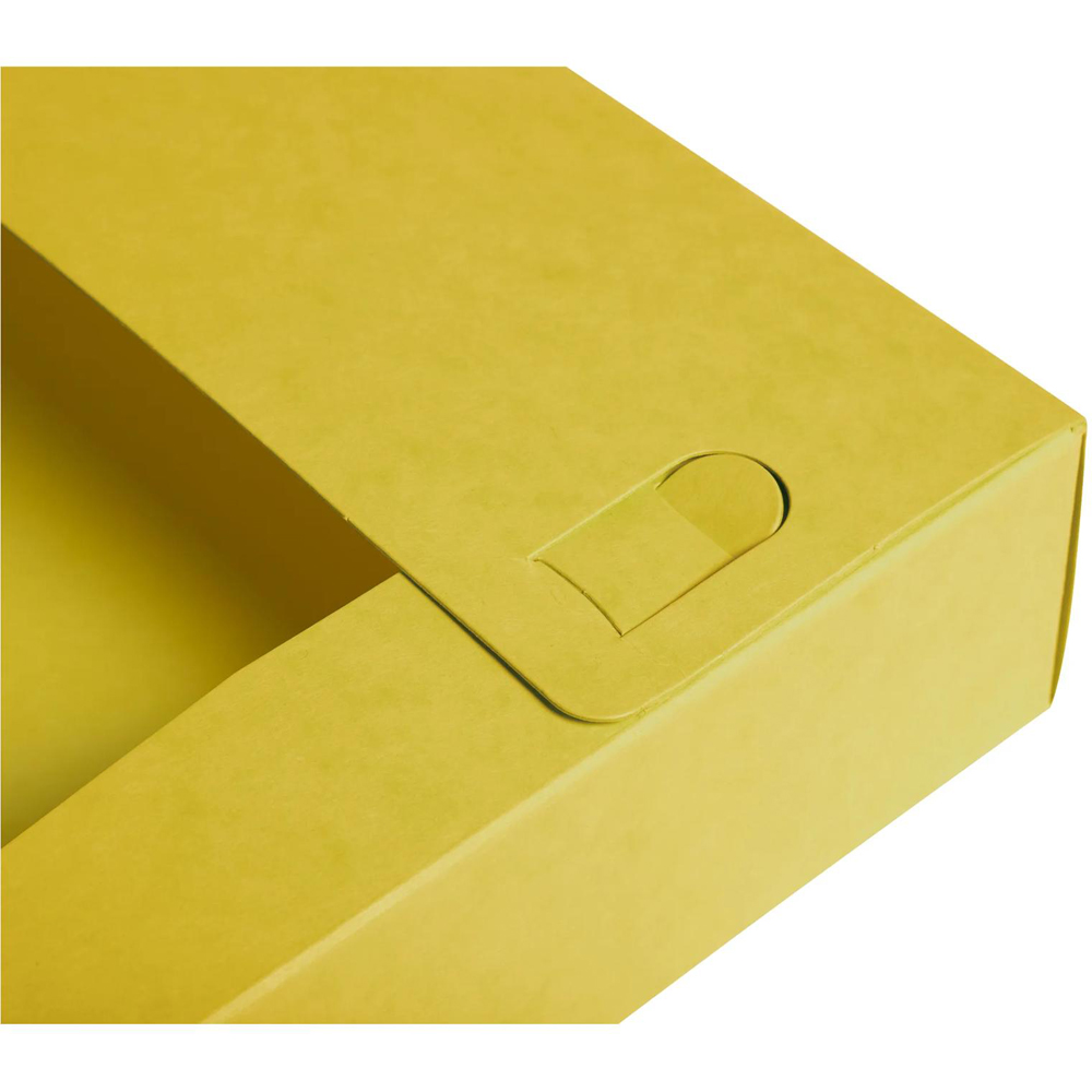 Exacompta Aquarel A4 Multicolour Box File 10 Pack Image 8