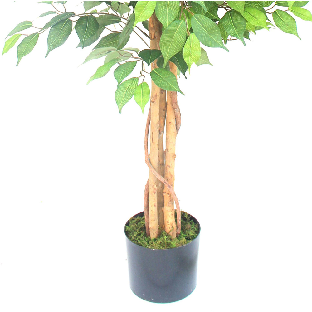 Botanik Ficus Artificial Tree in Pot 5ft Image 3