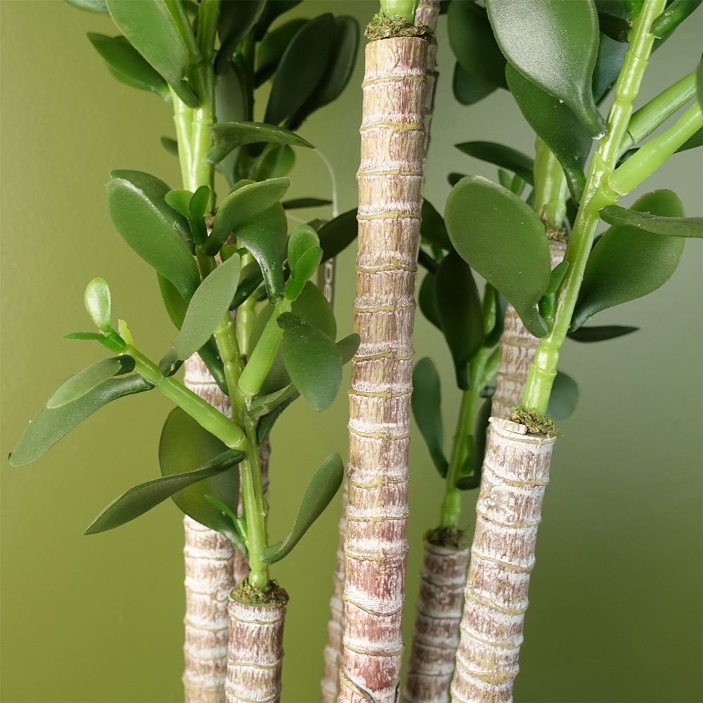 Botanik Green Jade Shrub Artificial Plant in Pot 75cm Image 4
