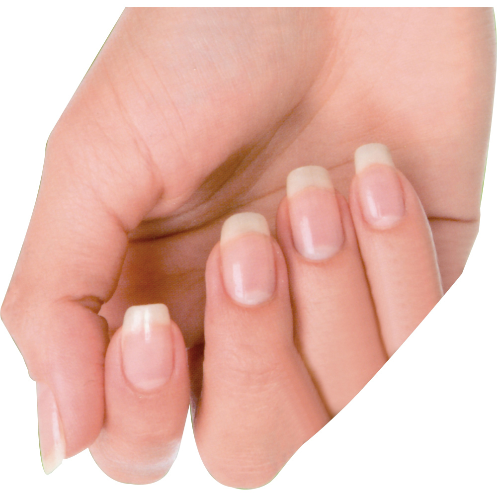 Avilo Electric Nail Trimmer Image 6