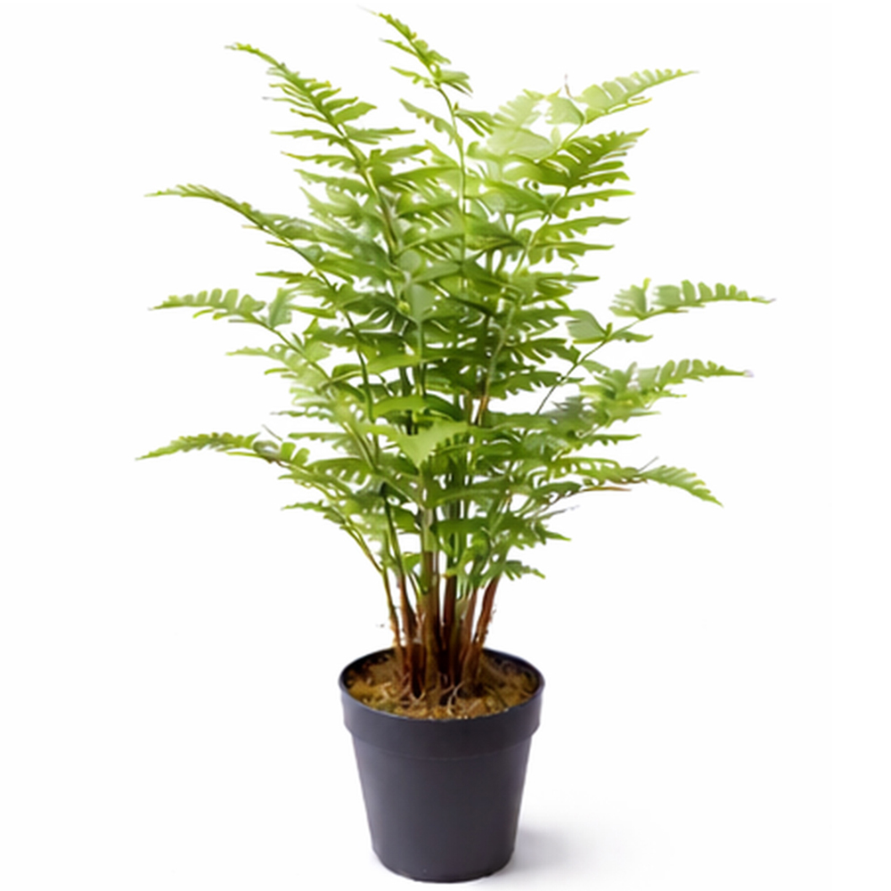 Botanik White Ceramic Planter with Metal Stand 18 x 17cm Image 2
