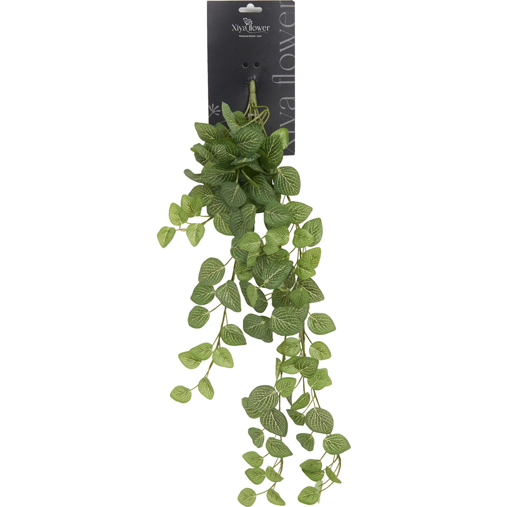 Hanging Fittona Artificial Plant Green Image 1