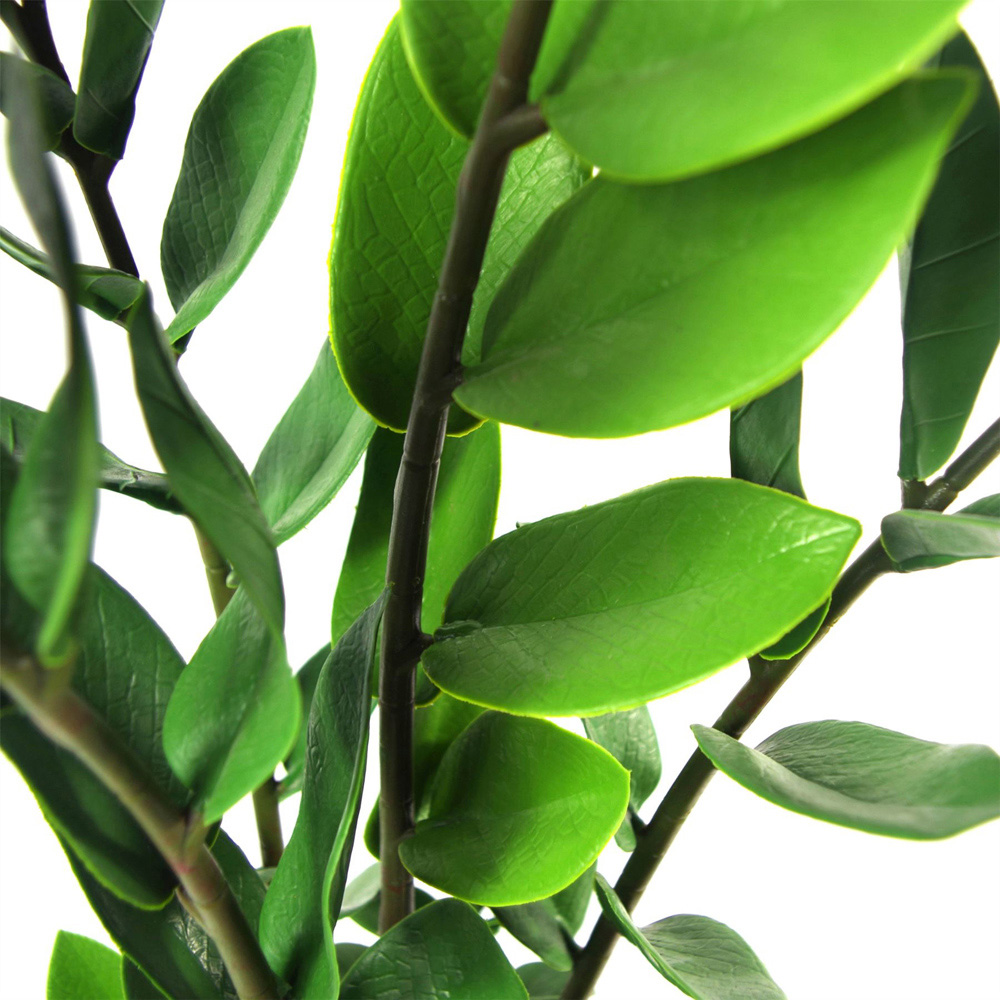 Botanik Zanzibar Gem Foliage Artificial Plant 2.5ft Image 4