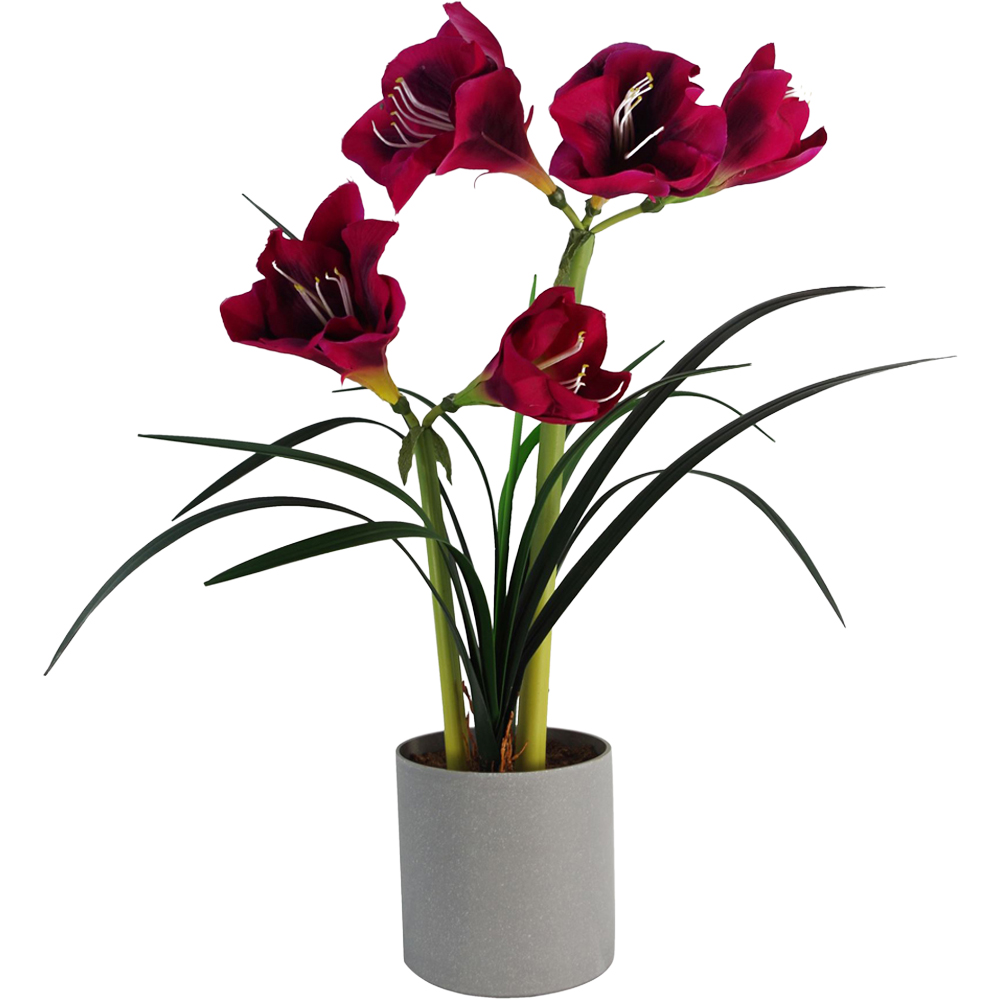 Leaf Pink Amarylis Artificial Plant in Black and Grey Pot 60cm Image 1