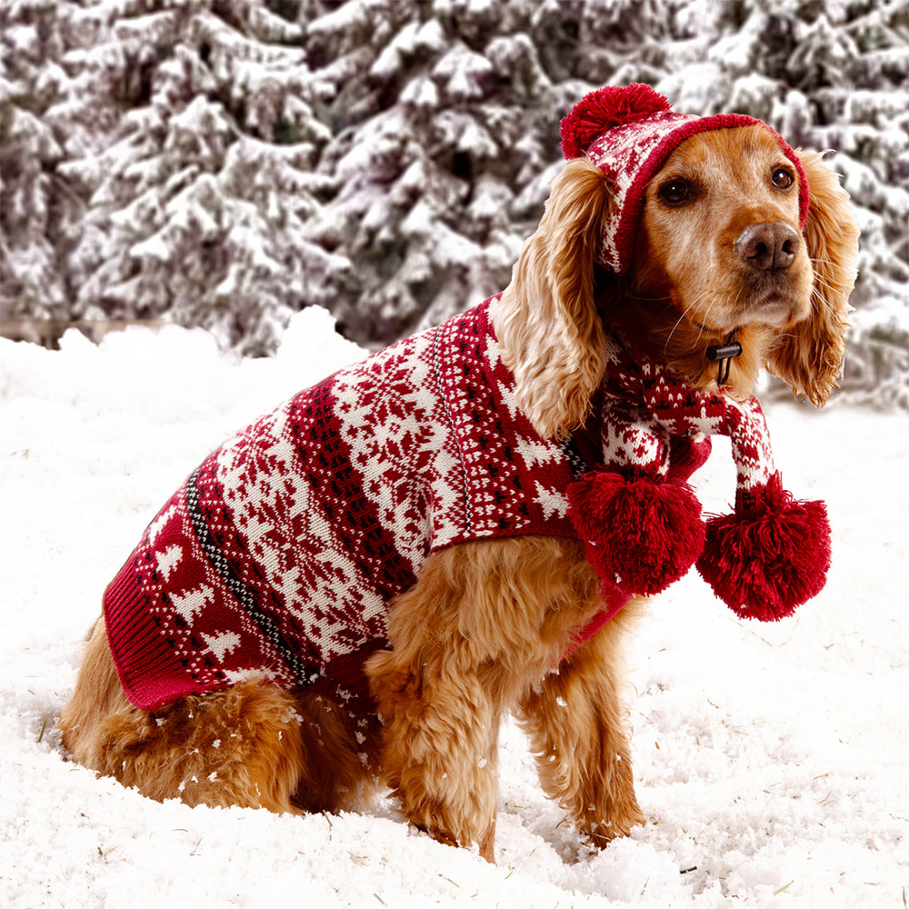 Fair Isle Dog Jumper XS Image 2