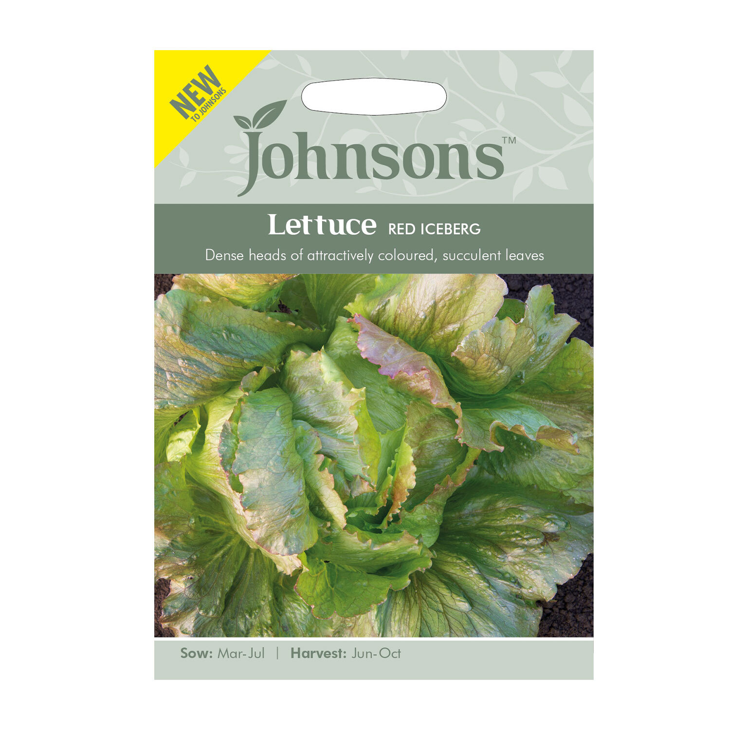 Johnsons Red Iceberg Lettuce Vegetable Seeds Image 2