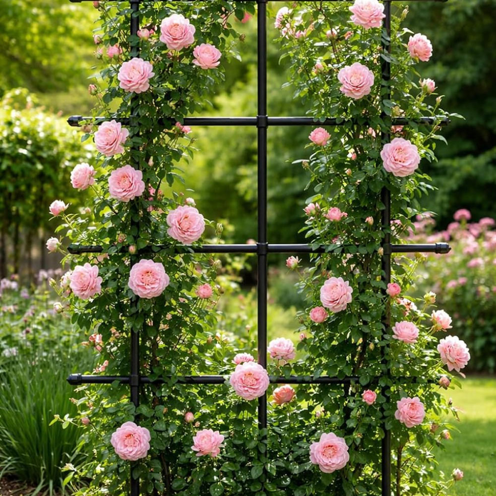 Garden Gear Metal Rose Garden Trellis 180 x 90cm Image 3