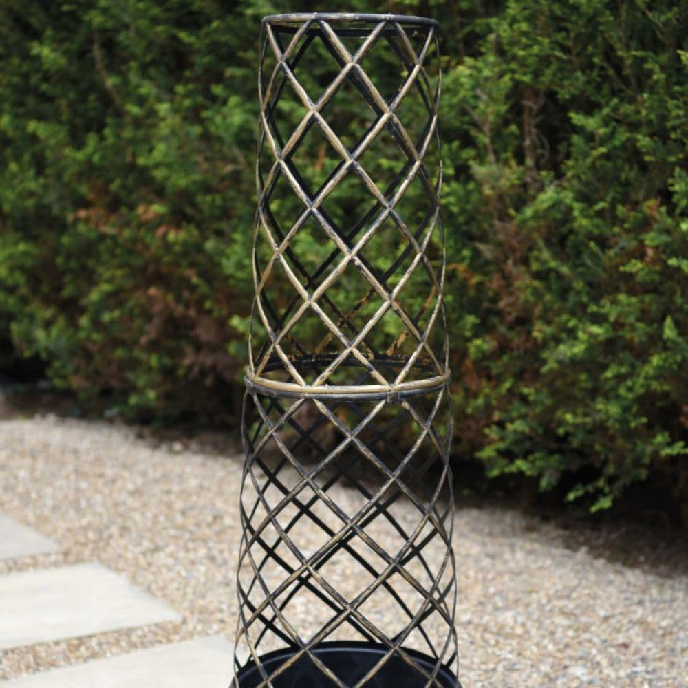 Thompson and Morgan Clematis Montana Mayleen Plant Pot 7cm with Tower Pot Kit Image 5