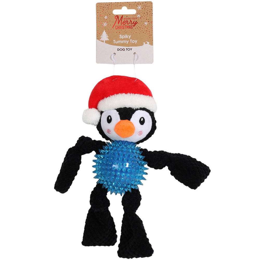 Single All I Want For Christmas Spiky Tummy Dog Toy in Assorted styles Image 3
