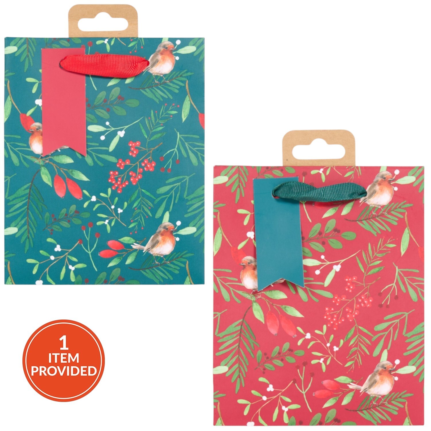 Robin Gift Bag Large Image 1