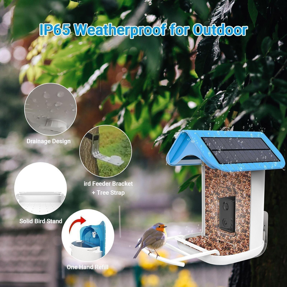 Callow Smart Solar Digital Bird Feeder with Wi-Fi Camera Image 8