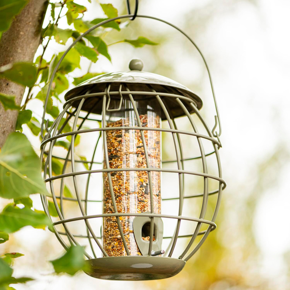 Thompson and Morgan Happy Beaks Orbital Squirrel Proof Seed Feeder Image 3