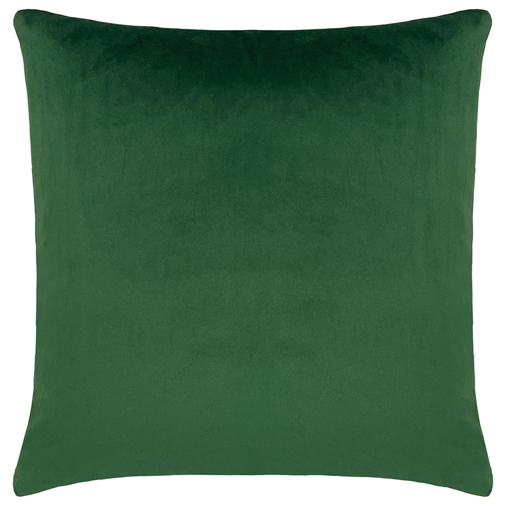 Paoletti Platalea Green Botanical Cushion Image 2